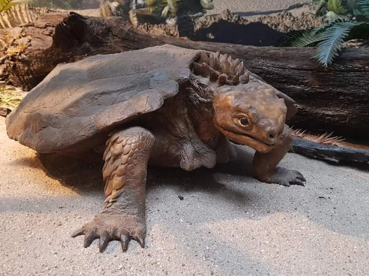 Lebendrekonstruktion der Schildkröte Proganochelys quenstedti aus dem Naturkundemuseum Stuttgart.