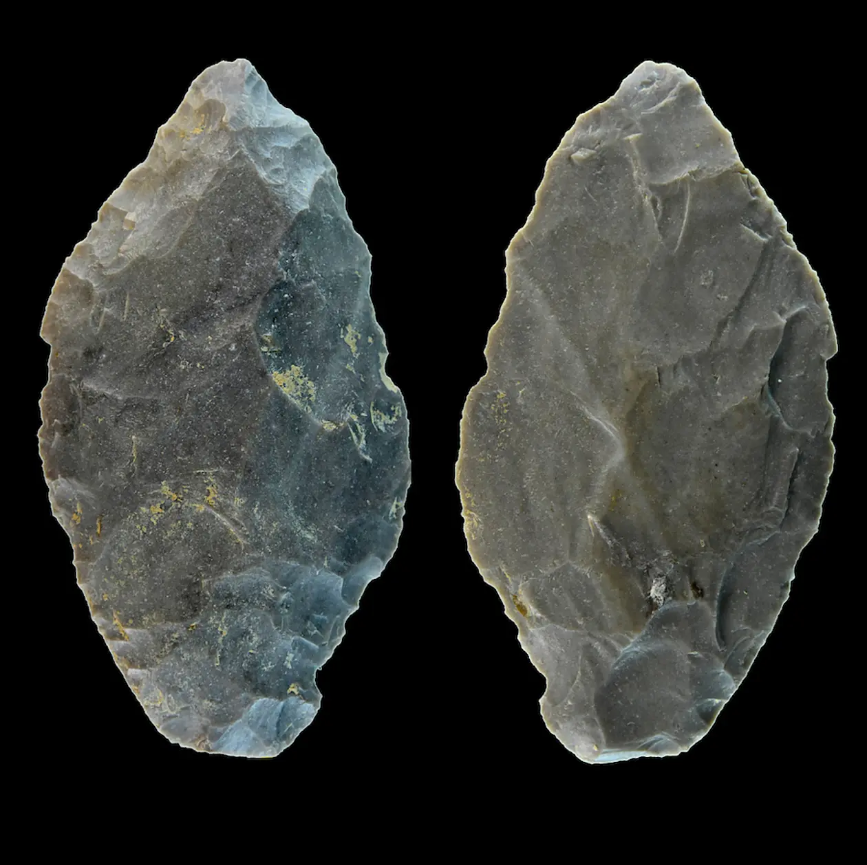 Hohle Fels. Leaf point. 