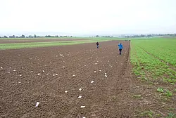 Field School in Reusten