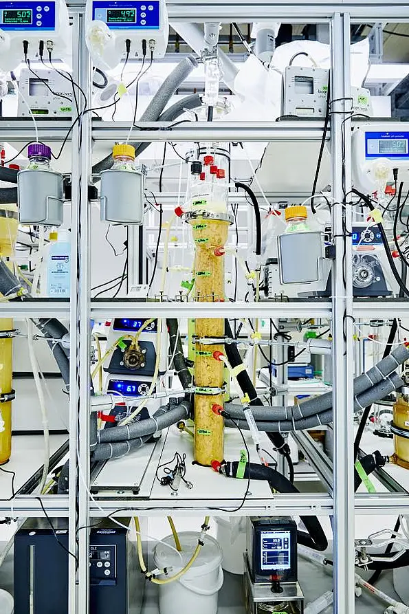 Bioreaktor in Laborumgebung