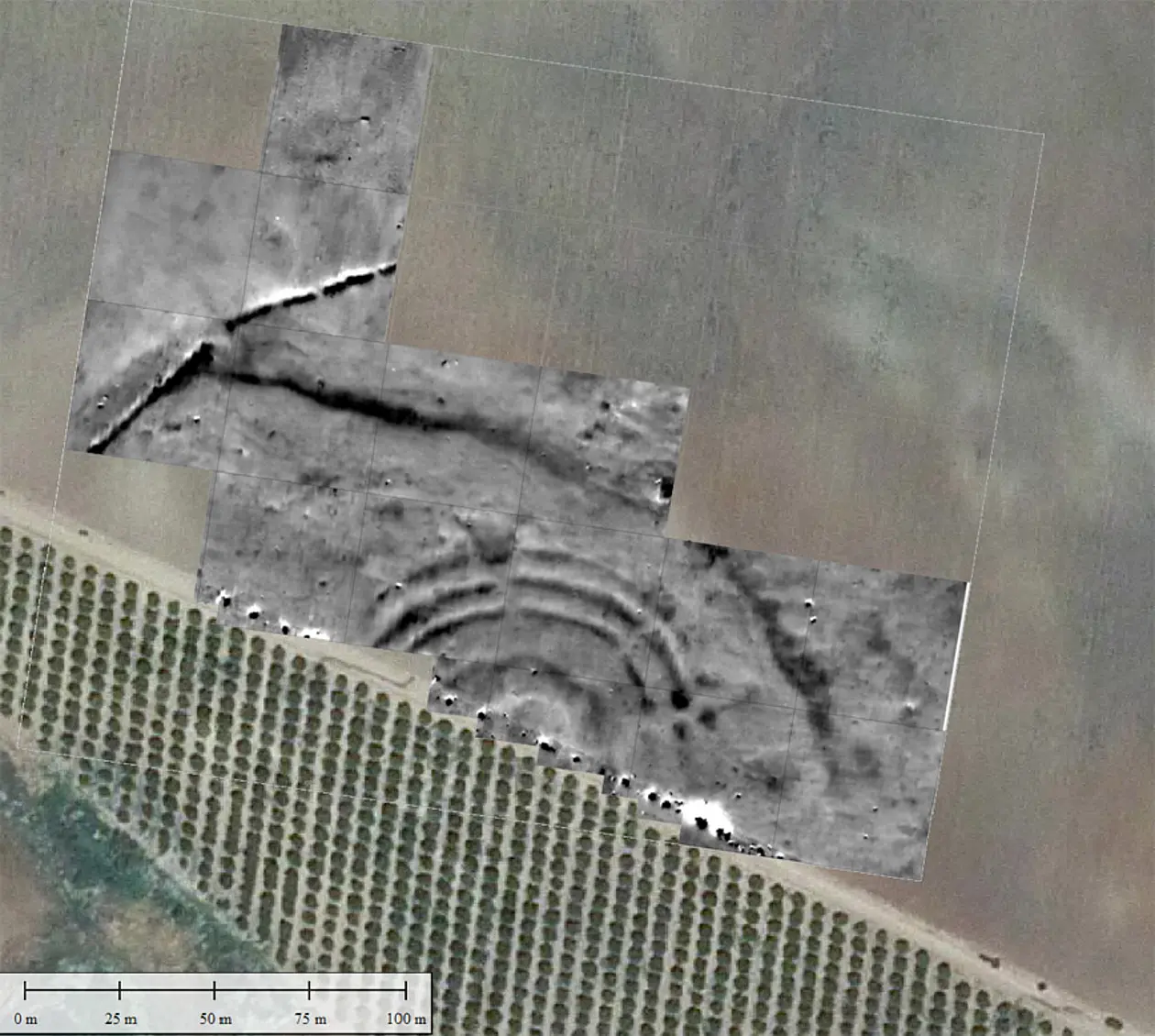 Die neu entdeckte Kreisgrabenanlage La Loma del Real Tesoro II (nahe Carmona). Bild: SFB 1070 RessourcenKulturen, Javier Escudero Carrillo und Helmut Becker