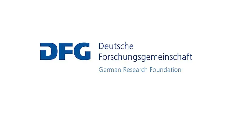 DFG DFG logo. Link to the German Research Foundation