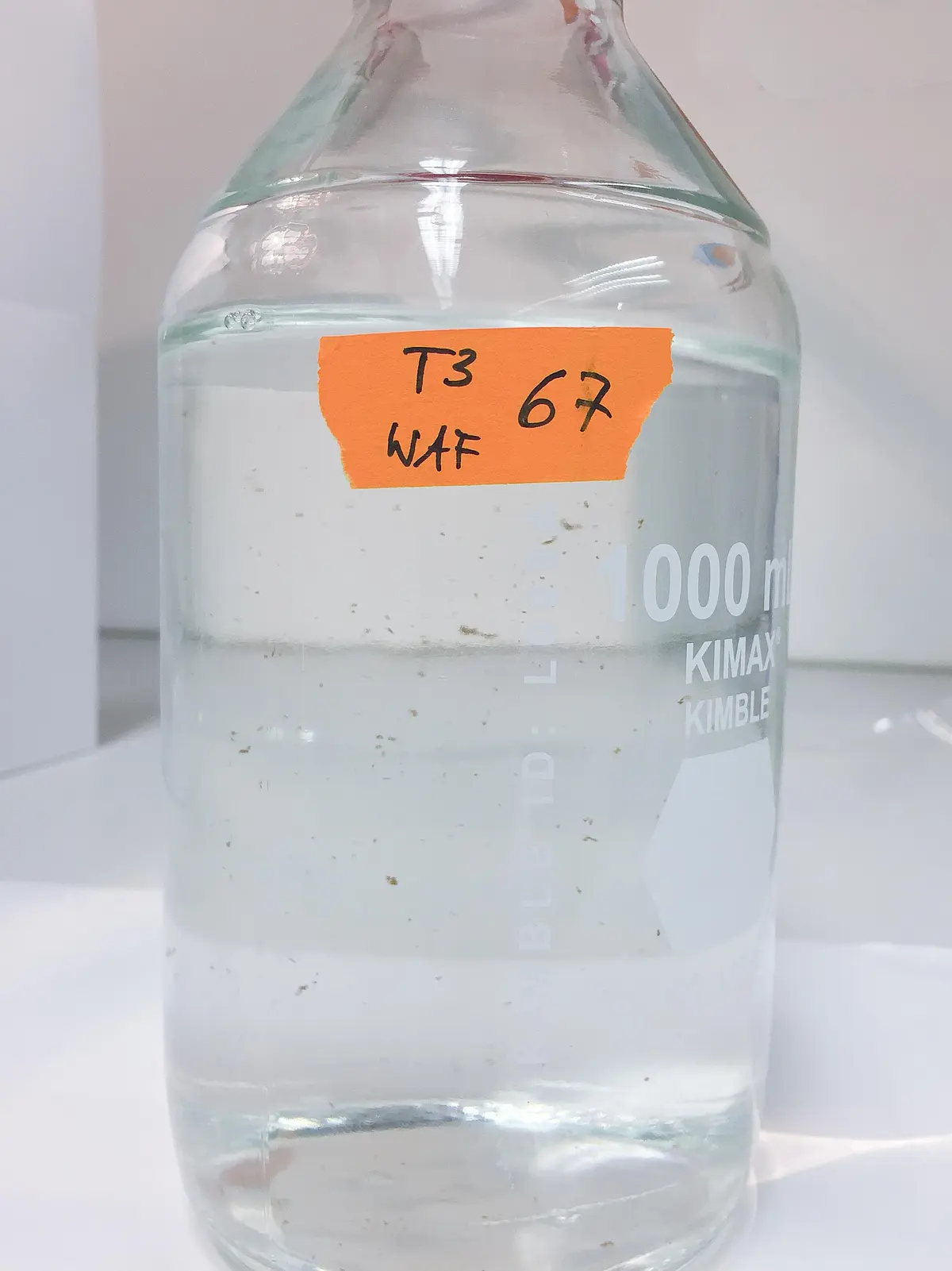 Mikrobieller Ölschnee (engl. microbial oil snow), siehe braune flockenähnliche kleine Strukturen, in Mikrokosmen mit Nordseewasser. Mikrobieller Ölschnee ist ein Phänomen, bei dem mikrobielle ölabbauende Bakterien im Wasser feste Aggregate bilden. Diese Aggregate sehen aus wie Schneeflocken oder Schneebälle, daher der Name Ölschnee