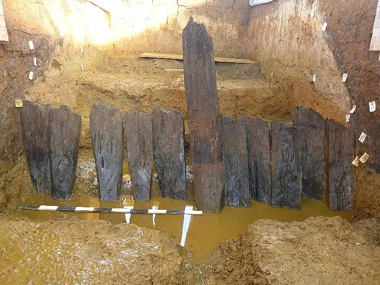 Pfähle von frühmittelalterlichen Böschungssicherungen eines Kanalbauwerks