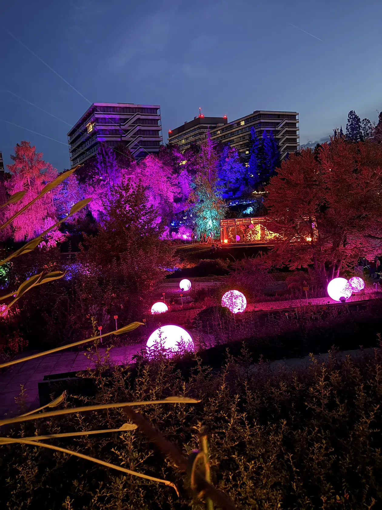 Botanische Lichter im Botanischen Garten der Universität Tübingen