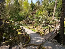 Der Botanische Garten der Universität Tübingen. Foto: Friedhelm Albrecht