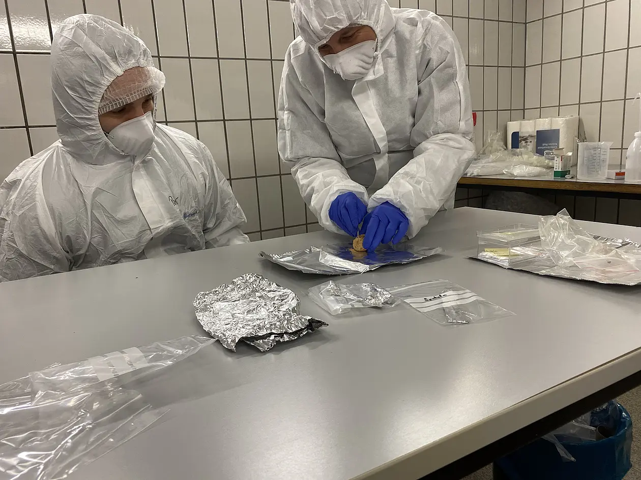 Laura Epp (rechts) und Peter Seeber, beide von der Universität Konstanz, bei der Öffnung eines Koproliths im Labor für die genetische Analyse. Wie eine Zeitkapsel enthalten Koprolithe Hinweise auf die Produzenten der Exkremente und deren Nahrung, die verdauten Tiere und Pflanzen. 