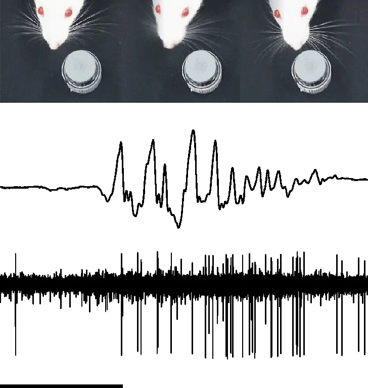 Image of a research project in the department