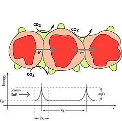 Schematische Darstellung des Leitungsvorgangs in einem Zinndioxid(SnO2)-Material, das mit  Lanthanoxycarbonat (La2O2CO3) beladen wurde. Der Widerstand wird maßgeblich durch die Verarmungsschichten an den Korn-Korn-Grenzen des Zinndioxids beeinflusst.