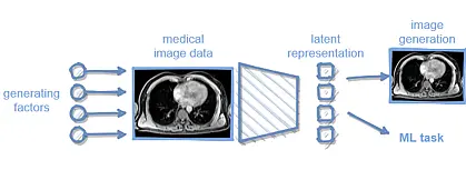 Illustration showing how Medical Imagining Analysis via Causal Representation Learning is done