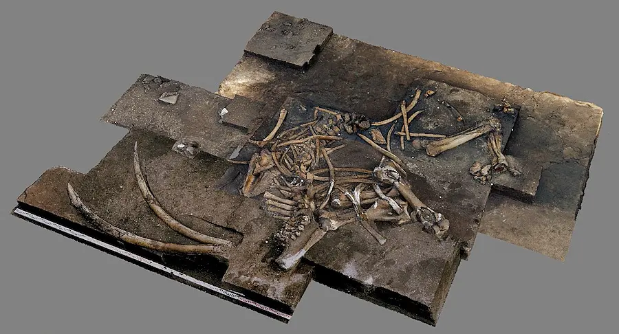 3D- image of the straight-tusked elephant
