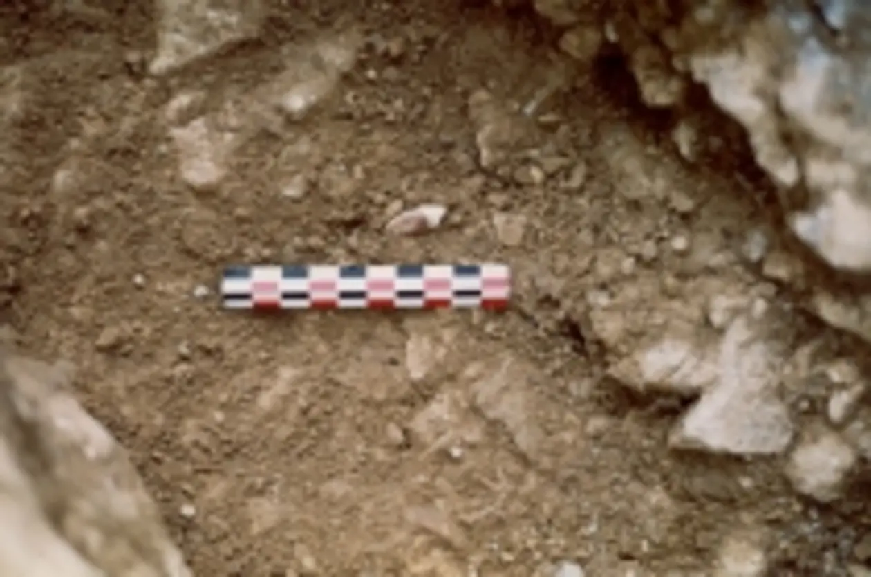 Zahn eines Neandertalers aus der Fundstelle Payre. © Marie-Hélène Moncel
