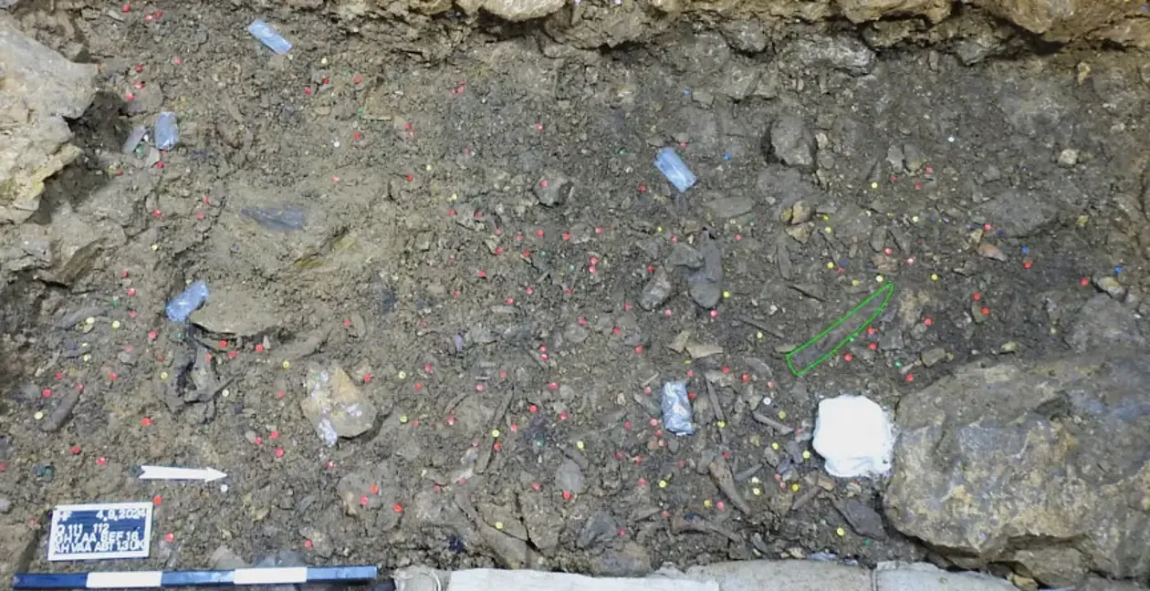 Hohle Fels. Oberfläche der Quadrate 111 und 112, Befund 16