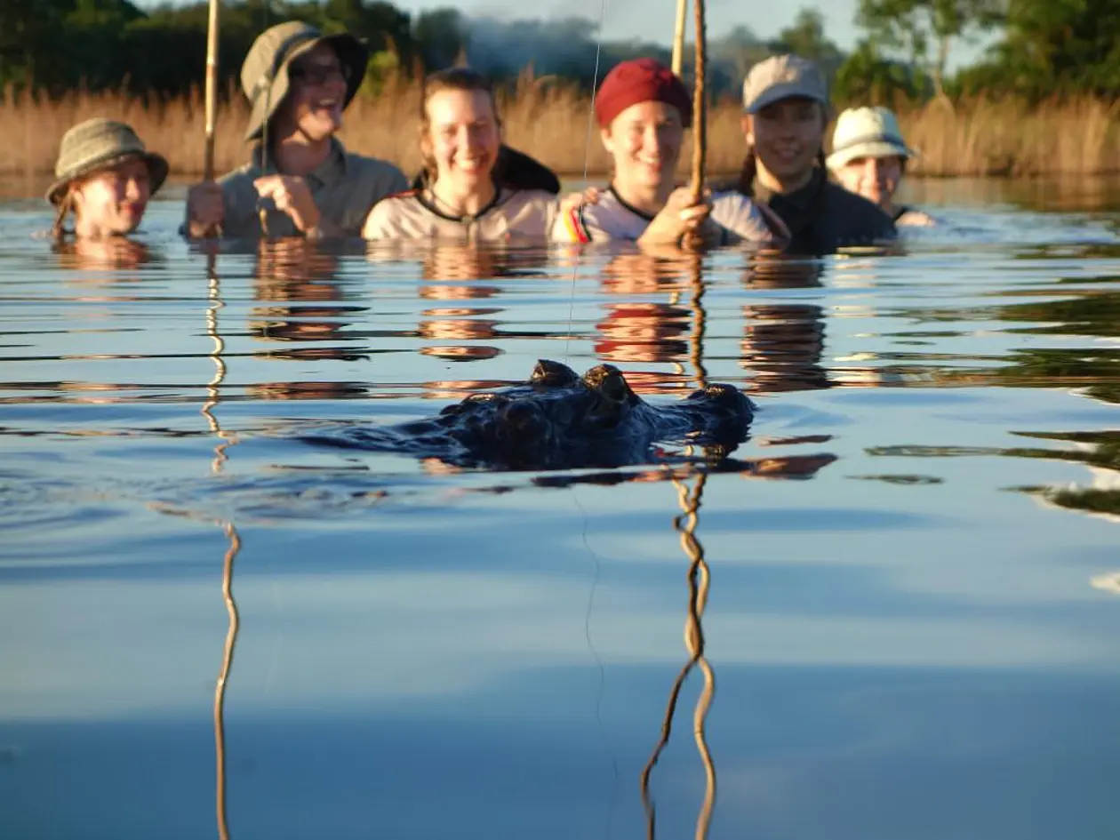 Ein junger Kaiman erkannte die Tübinger Piranha-Angler als Nahrungskonkurrenten. Fotos: R. Radtke