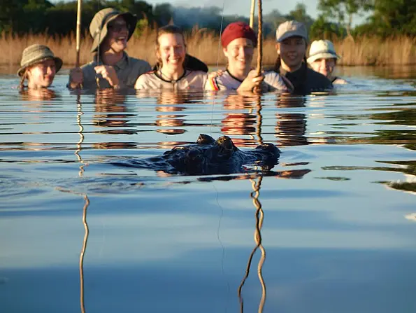Ein junger Kaiman erkannte die Tübinger Piranha-Angler als Nahrungskonkurrenten.