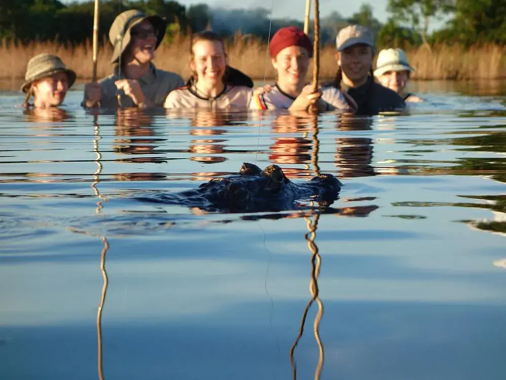 Ein junger Kaiman erkannte die Tübinger Piranha-Angler als Nahrungskonkurrenten. Fotos: R. Radtke 