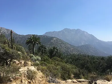 Mediterranean climate, central Chile