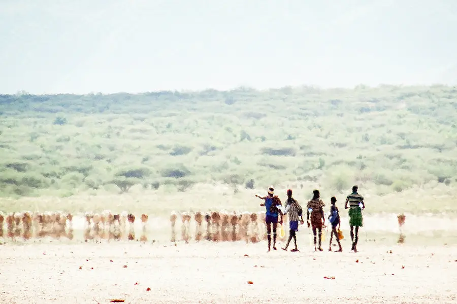 Present-day lakes in East Africa may disappear as a result of global climate change.