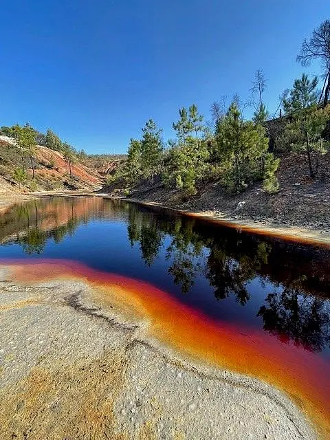 The Rio Tinto, here embedded in dry vegetation with few green trees, turns bright red and yellowish near the shore