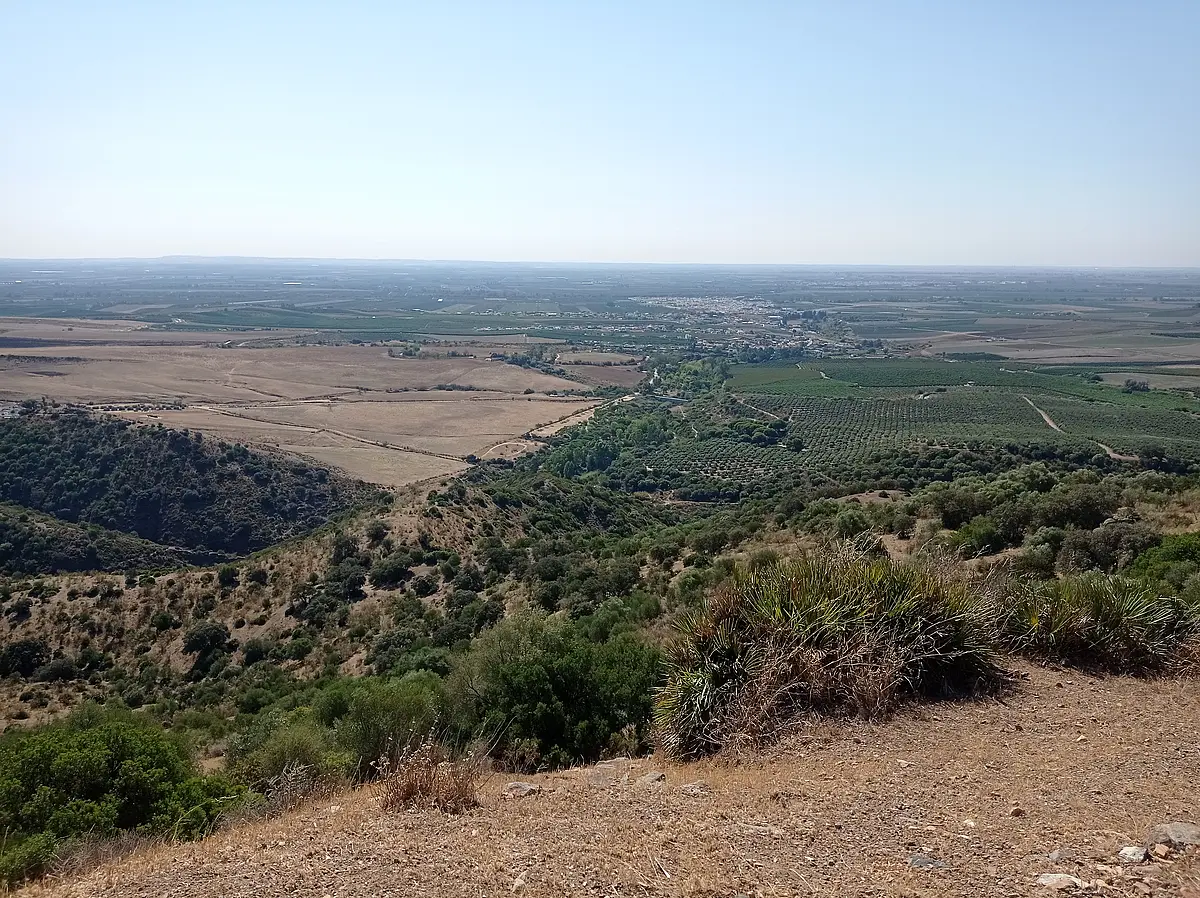 Guadalquivirtal