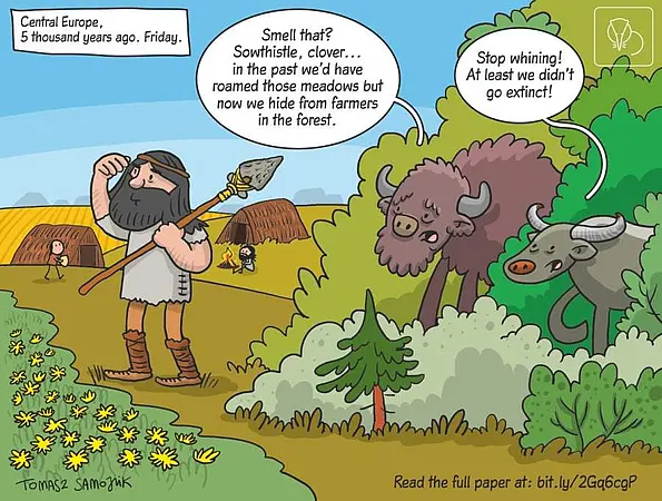 Comic anlässlich der neuen Studie.