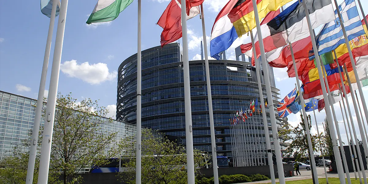 Flaggen europäischer Länder wehen an einem sonnigen Tag vor dem Europäischen Parlament in Straßburg.