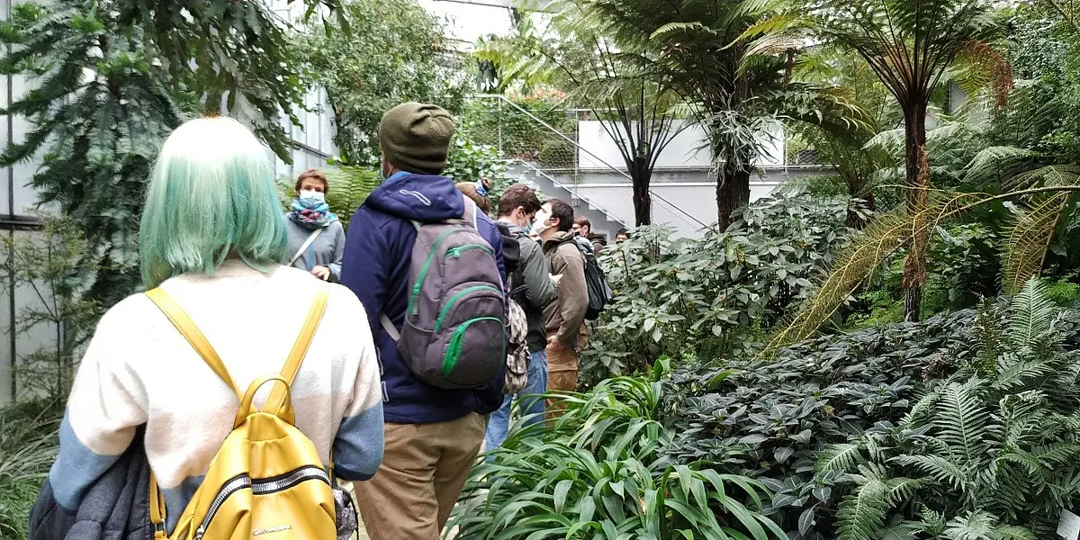 Learning about the Subtropical vegetation of Africa, Australia, and South America
