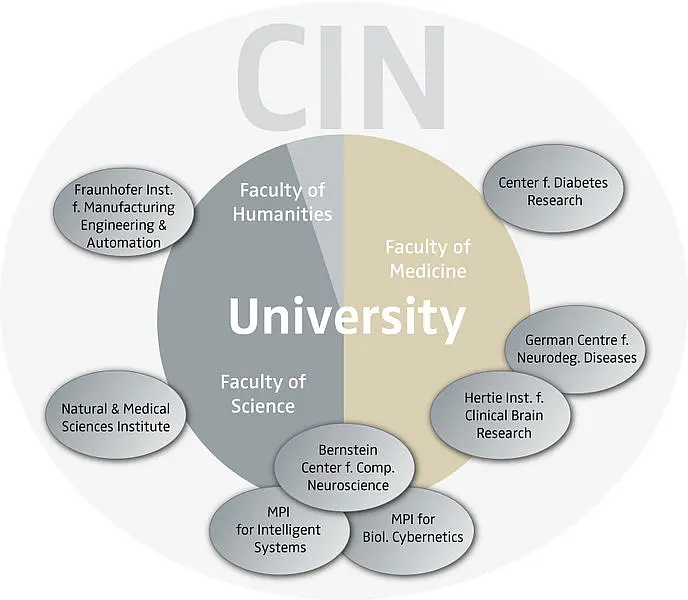 A pie chart shows all local CIN cooperation partners in the fields of medicine, science and humanities.