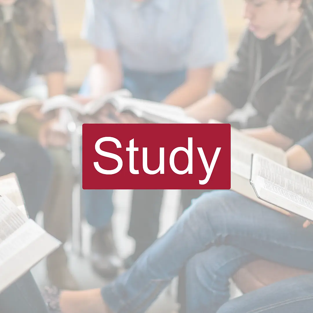 Study Button