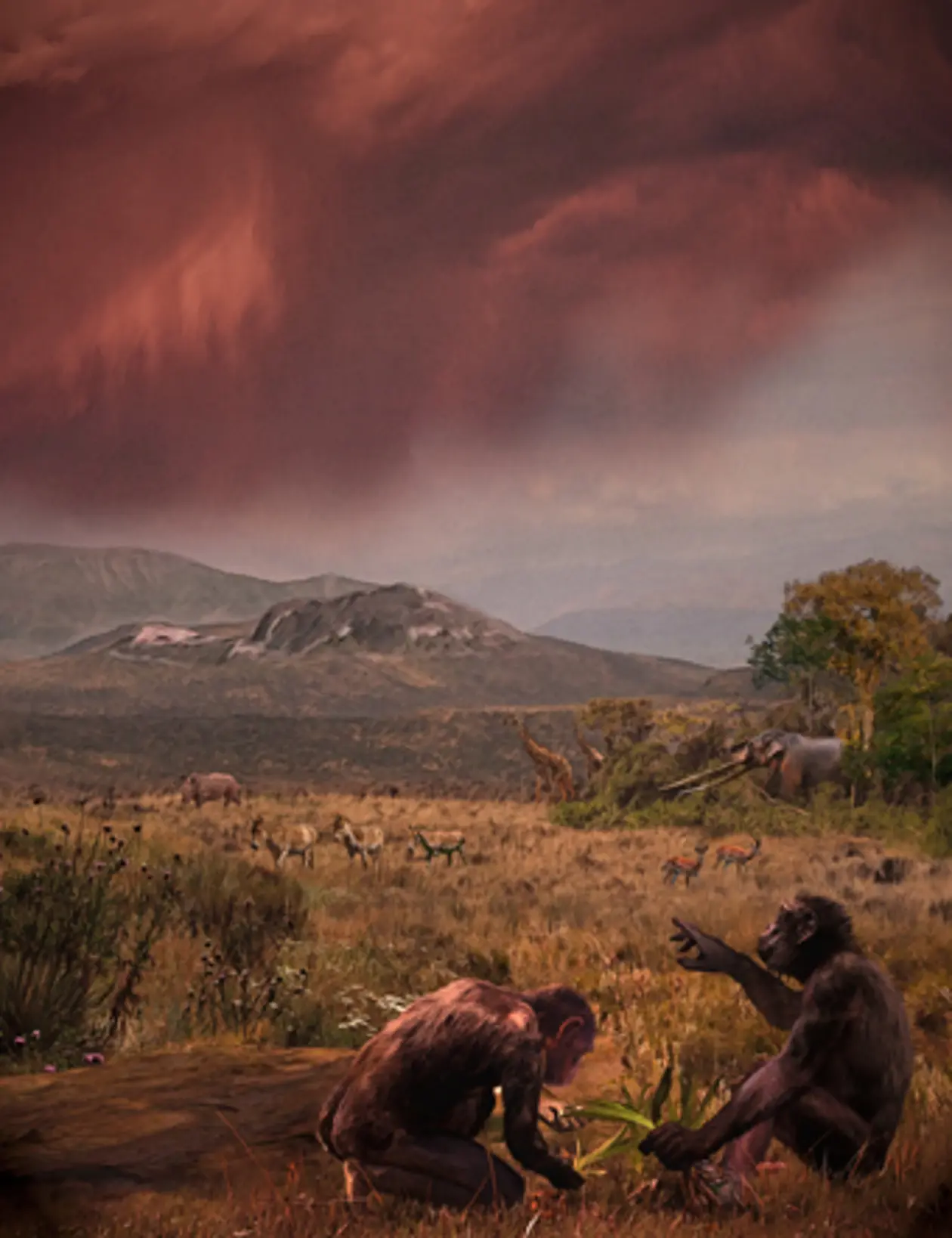 El Graeco (Graecopithecus freybergi) hat vor 7,2 Millionen Jahren in einer staubbelasteten Savannen-Landschaft im Athener Becken gelebt. Gemälde: Velizar Simeonovski, Chicago