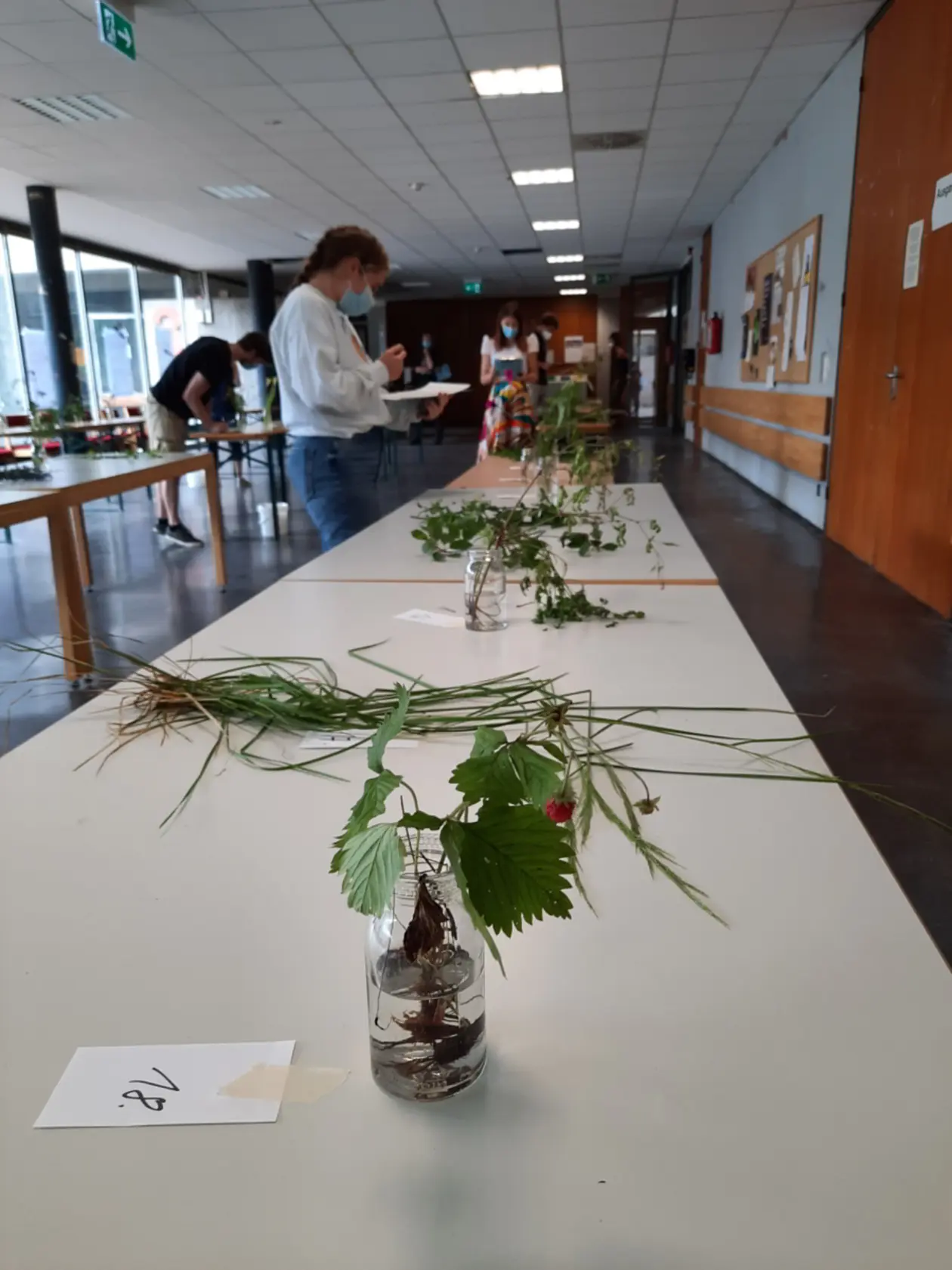 Erste Artenkenntnis-Prüfung an der Universität Tübingen
