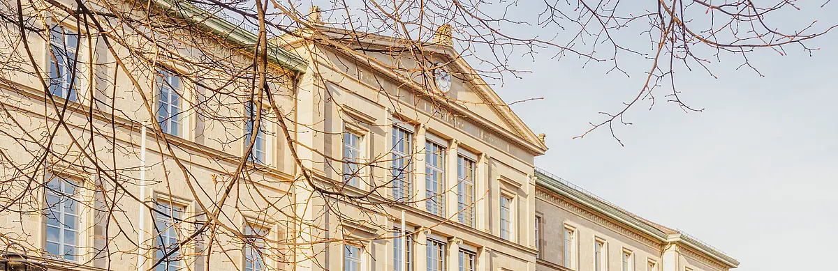 Die Neue Aula wird von Tageslicht angestrahlt. Im vorderen Teil des Bildes sind Äste eines Baumes zu sehen.