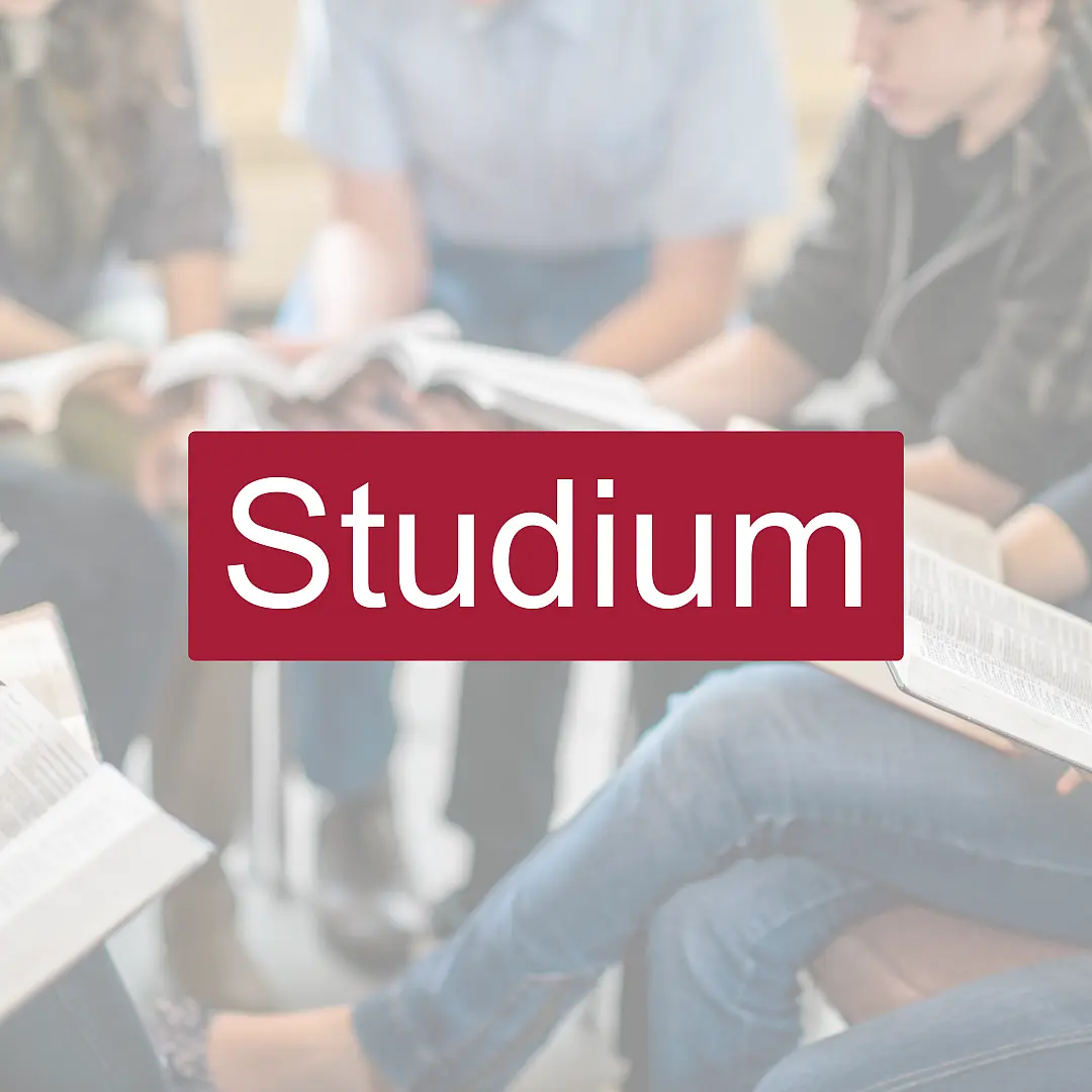 Studium Button
