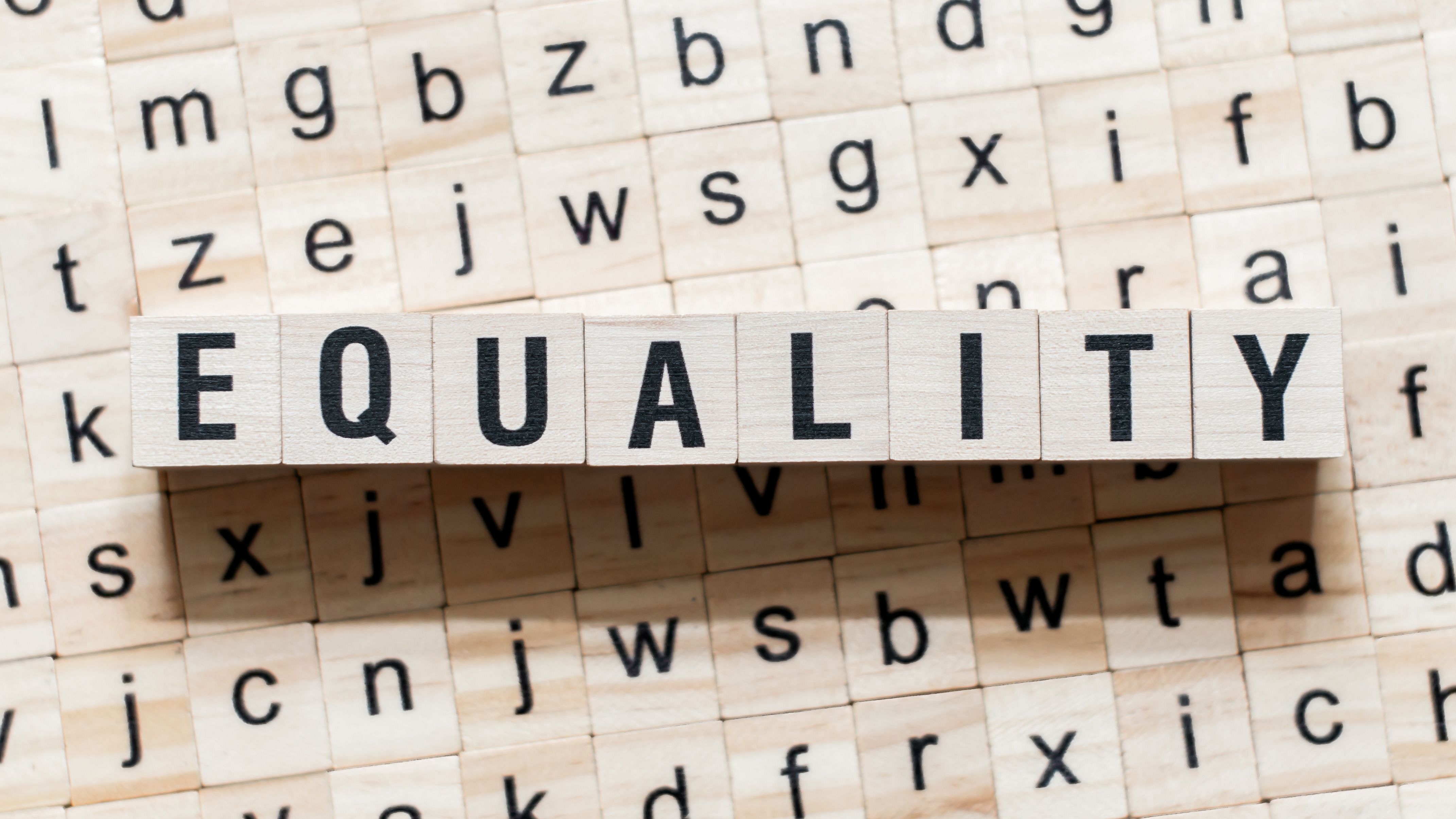 A decorative image showing wooden blocks printed with letters that form the word Equality (link to the Center for Gender and Diversity Research (ZGD))