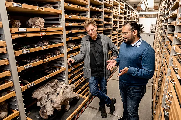Ingmar Werneburg and Omar Rafael Regalado between two long rows of drawer cabinets, in one drawer lies a dinosaur hip bone