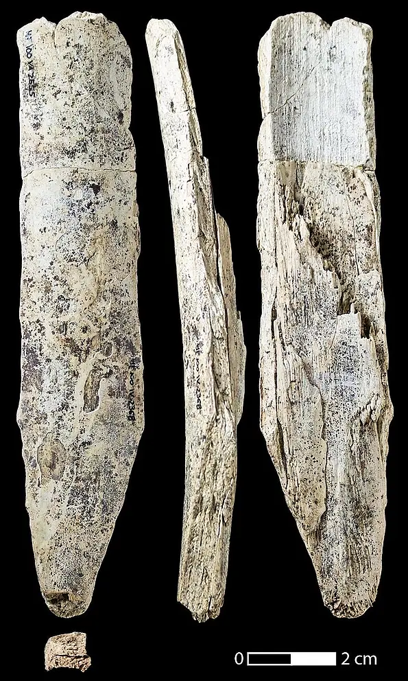 Hohle Fels - Elfenbeinmeißel 3