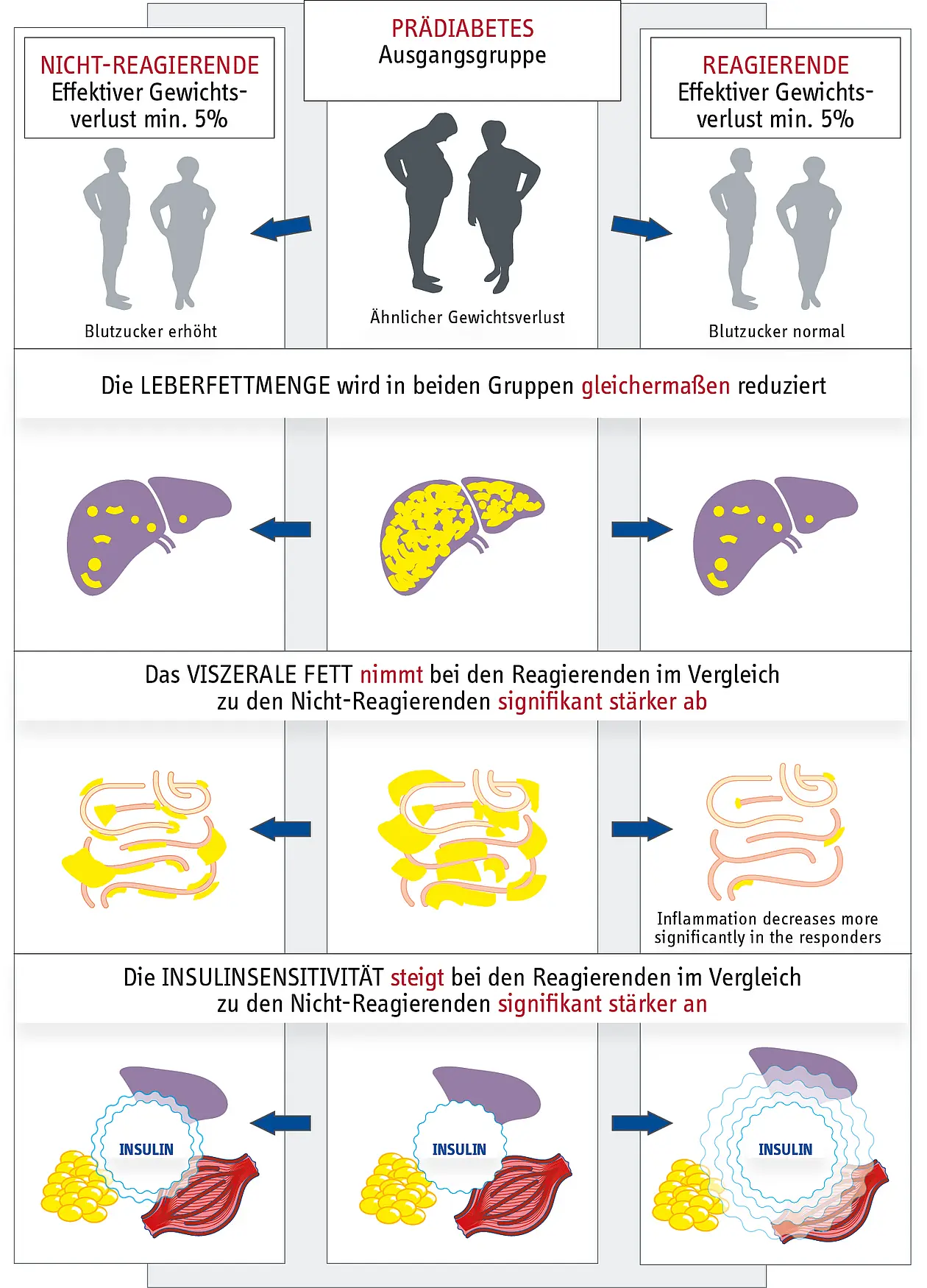 Graphical Abstract in Deutsch