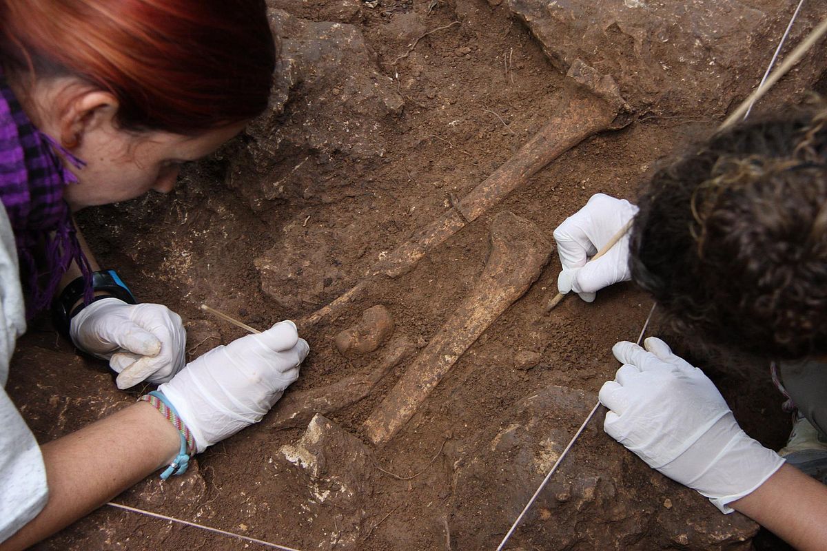 Excavation of human remains