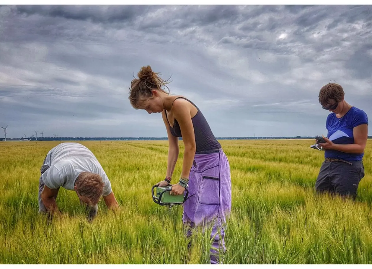 Three researches in field.