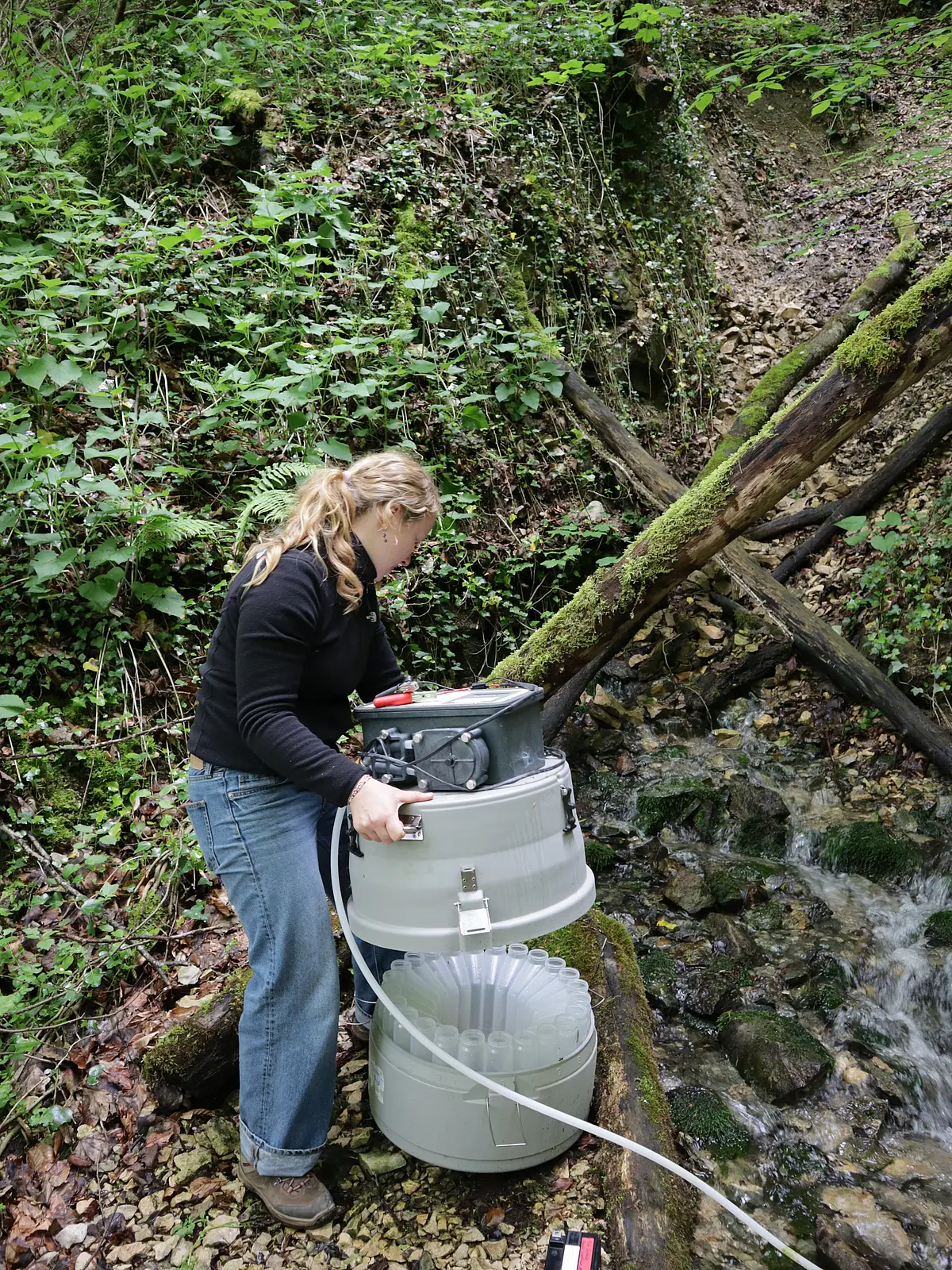 An einer Quelle im Wald arbeitet eine Studierende mit einem automatischen Wassersampler, dessen Schlauch in den Bach reicht. Sie hebt den oberen Teil ab, sodass die kreisförmig aufgreihten Probenflaschen im Inneren sichtbar sind.