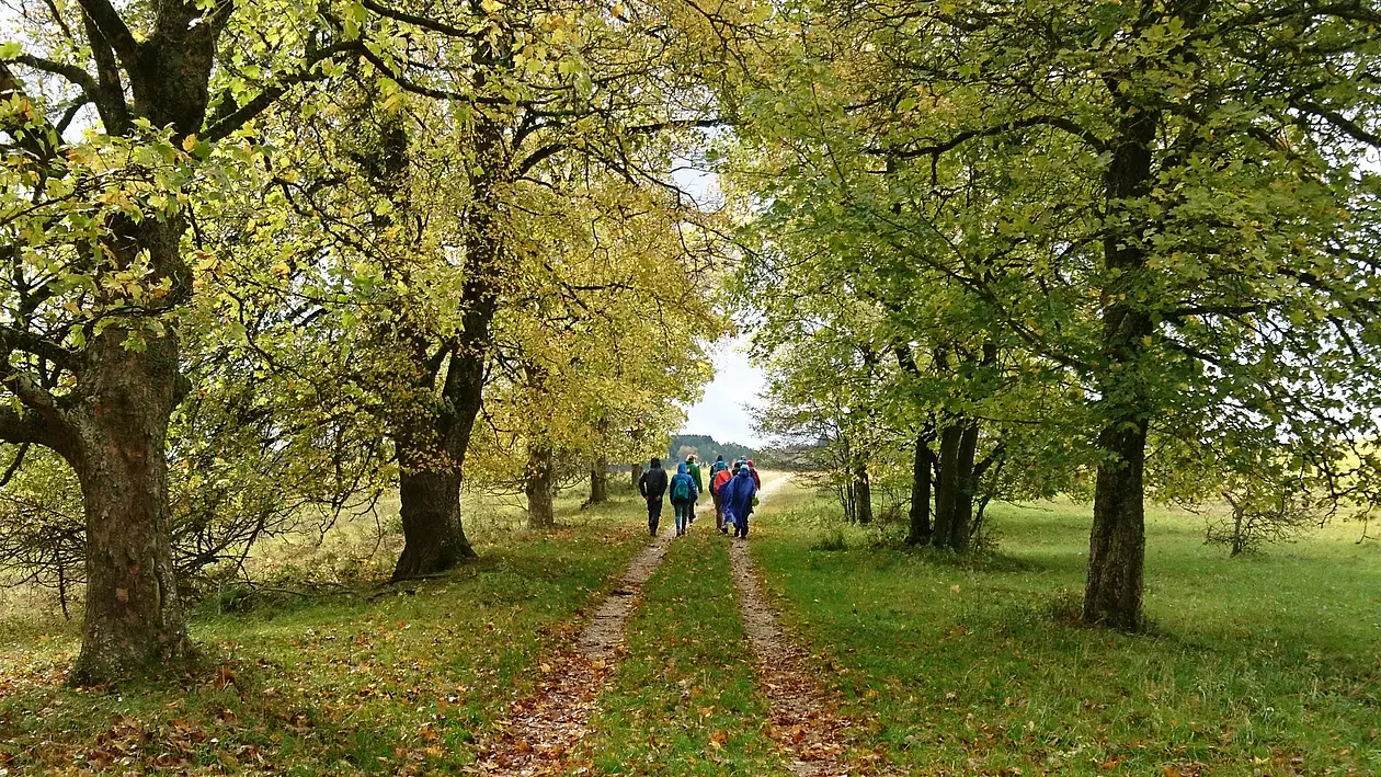PhD student retreat