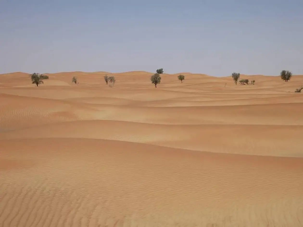 Wüste bei Dhank, Sultanat Oman.