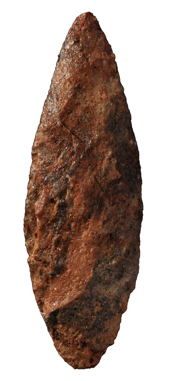 A finely-worked Still Bay point from the Diepkloof Rock Shelter in Western Cape, South Africa. 