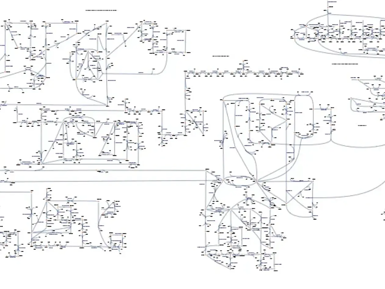 Overview of the metabolism of D. pigrum (subset)