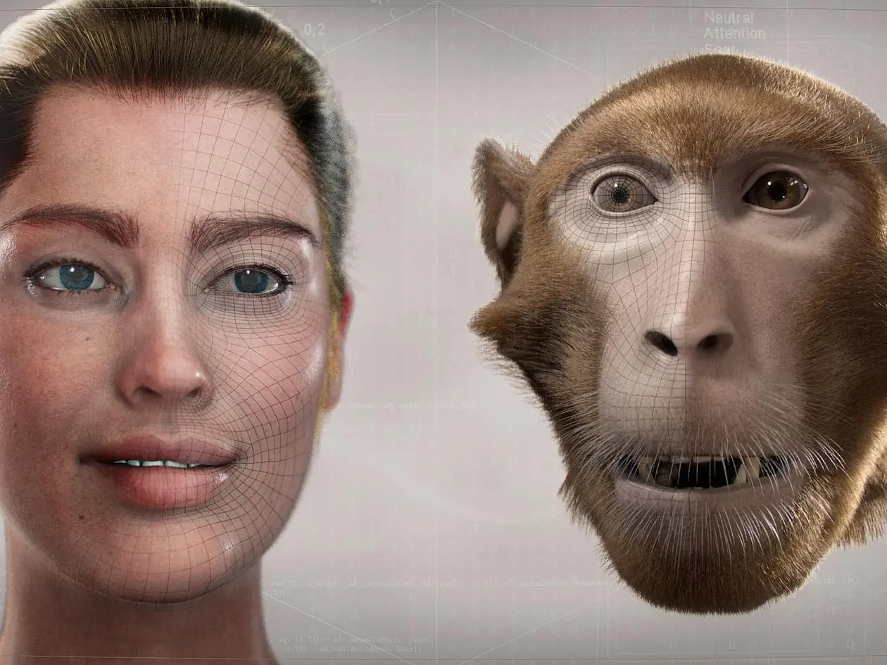 Gesichter eines Menschen- und eines Affenavatars mit jeweils typischem Emotionsausdruck