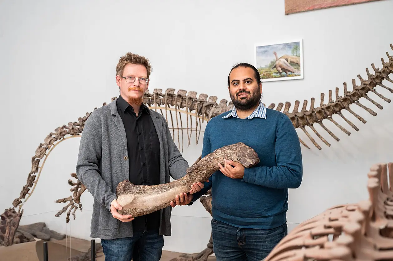 Two researchers stand in front of a dinosaur skeleton and hold a large bone