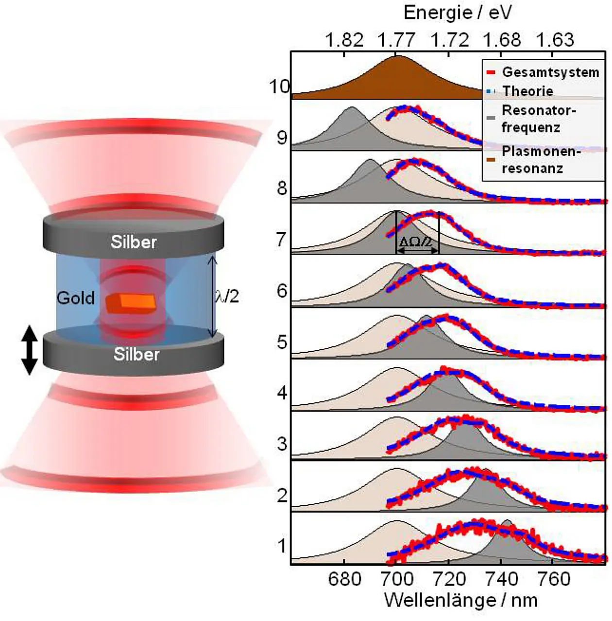 Schematische Darstellung des Experiments mit dem Resonator und dem Goldstäbchen. Der Spiegelabstand ist in etwa halb so lang wie die Wellenlänge des Lichts (λ/2). Rechts: Messungen der optischen Eigenschaften des Systems (hier in Form von Spektren) bei Bestrahlen mit einem Laser zur Anregung der Plasmonenschwingung im Goldstäbchen (beige-farbene Kurven) und nach Bestrahlen mit weißem Licht zur Bestimmung der Resonanzwellenlänge des Hohlraumes je nach eingestelltem Spiegelabstand. Die roten Kurven zeigen die Emissions-Spektren des gekoppelten Systems. Abbildung: Alexander Konrad/Universität Tübingen