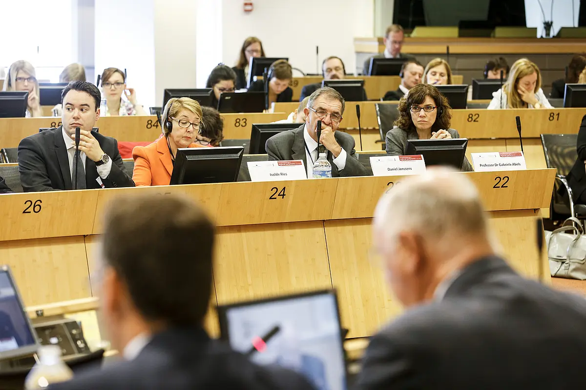 Prof. Dr. Abels at the Conference "Strengthening Regional Parliaments in EU affairs".