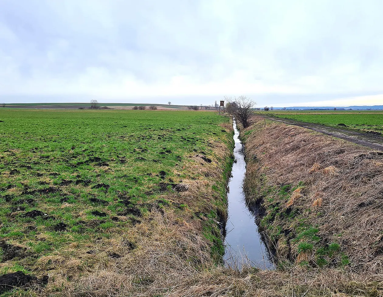 Feld mit kleiner Bachrinne bei blauem Himmel
