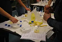 Das Tübinger Fenster für Forschung (TÜFFF) lädt ein zum Staunen, Ausprobieren und Mitmachen. Foto: Simona Steeger/Universität Tübingen